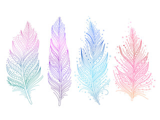 Colored bird feathers isolated objects - blue, purple, green and pink, boho style. Vector illustration.