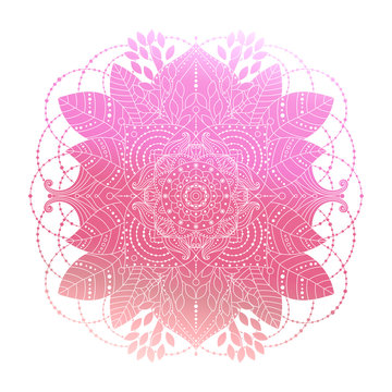 Pink gradient coloring mandala, vibrant floral ornament in boho style, asian arabesque art, isolated element, vector illustration.