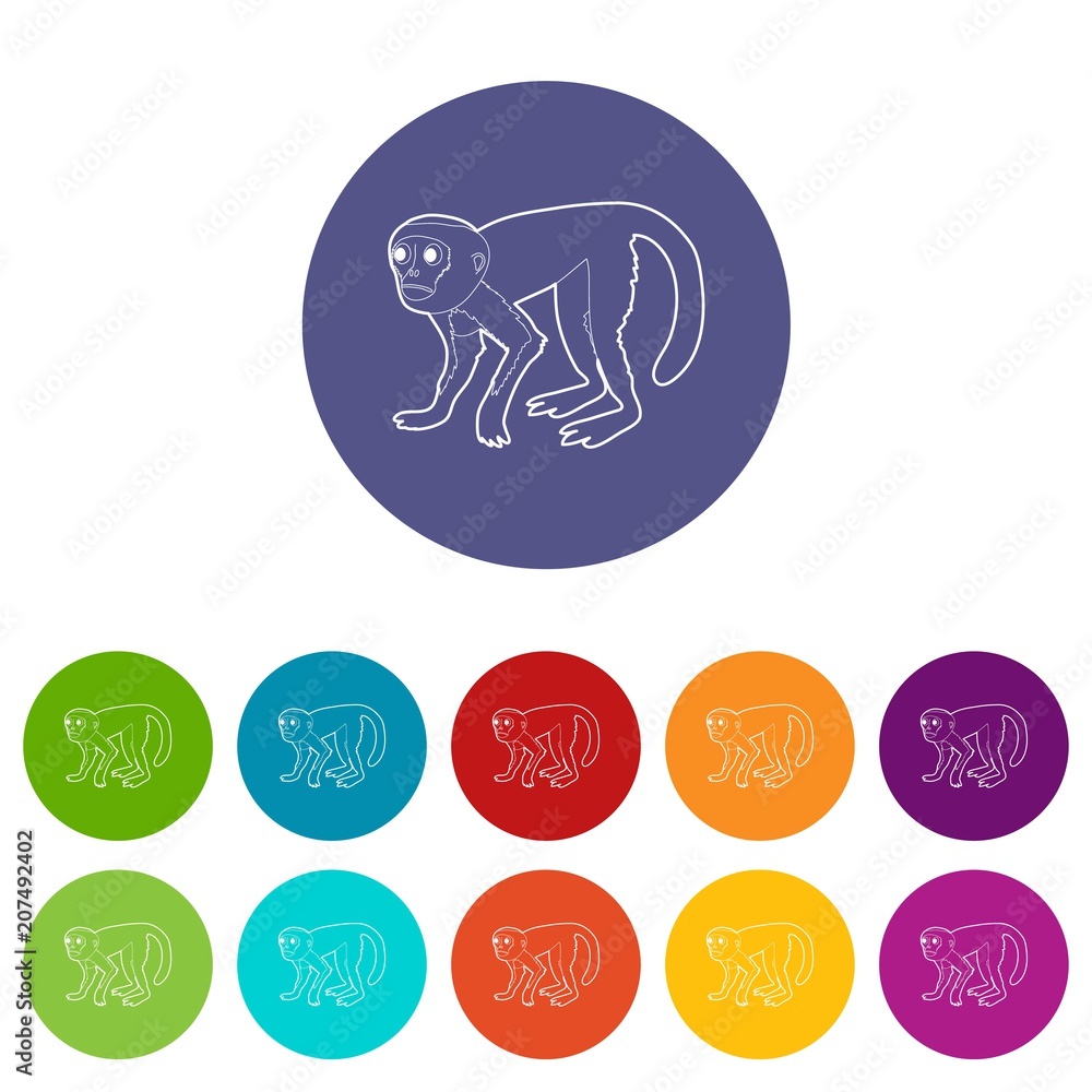 Wall mural capuchin icons color set vector for any web design on white background - Wall murals
