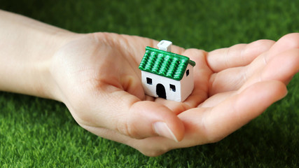 A miniature house of green roof on the palm.