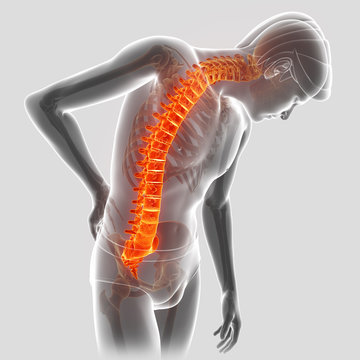 3D Illustration of male Feeling the back pain