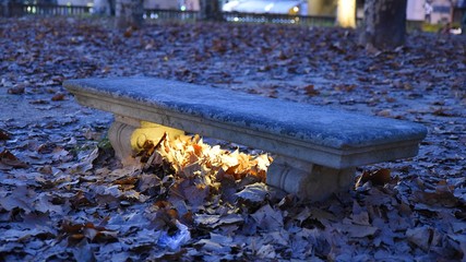 BANCO DE PARQUE EN OTOÑO