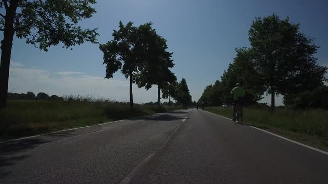 Radfahrer auf asphaltierter Straße mit Bäumen und Gegenverkehr