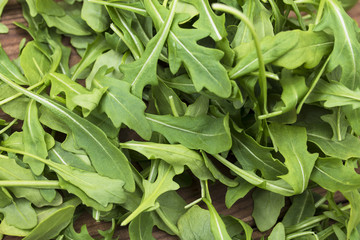 isolated vegetable, arugula