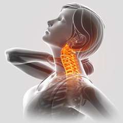 3d Illustration of female Feeling the Neck Pain