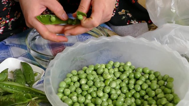 A woman is extracting peas,

