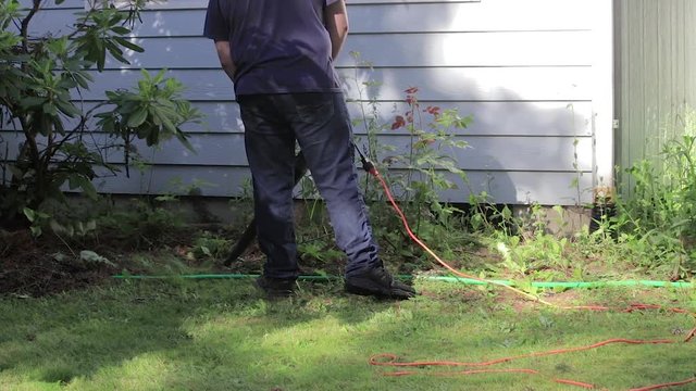 blowing out the garden