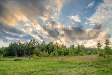 Clouds above the edge of the forest