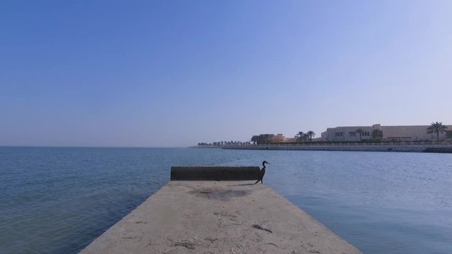 sea