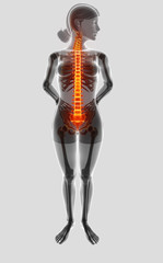 3D Illustration of Female Feeling the back pain