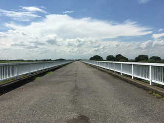 橋