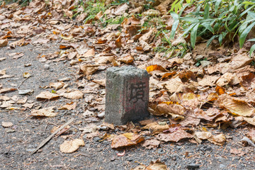 Old classical Demarcation Border stone
