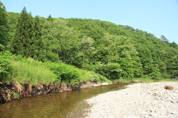 せせらぎ　川の流れ　清流