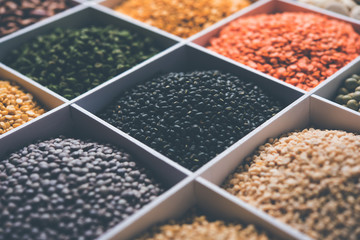 Indian Beans,Pulses,Lentils,Rice and Wheat grain in a white wooden box with cells, selective focus.