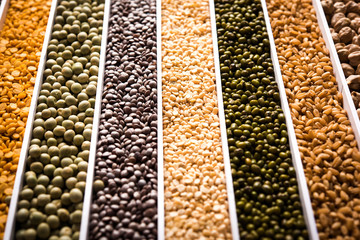 Indian Beans,Pulses,Lentils,Rice and Wheat grain in a white box with cells or strips, selective focus.