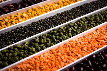 Indian Beans,Pulses,Lentils,Rice and Wheat grain in a white box with cells or strips, selective focus.