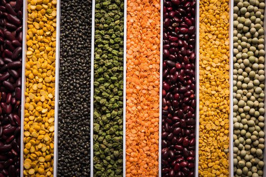 Indian Beans,Pulses,Lentils,Rice and Wheat grain in a white box with cells or strips, selective focus.