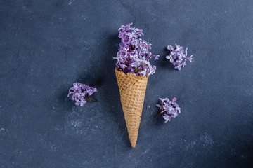 Waffle cone with purple lilac on dark blue stone concrete table background. Flat-lay, top view, copy space. Morher Day Holiday Concept