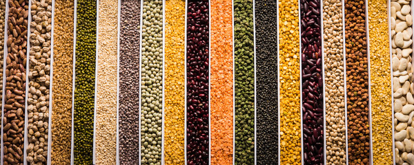 Indian Beans,Pulses,Lentils,Rice and Wheat grain in a white box with cells or strips, selective focus.