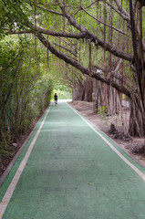 Obraz premium green bike lane in the garden
