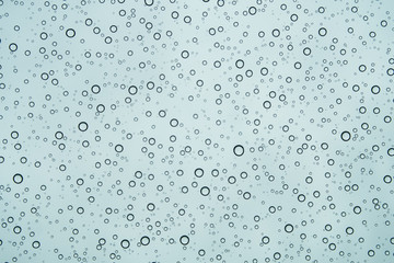 Fototapeta na wymiar 雨の水滴