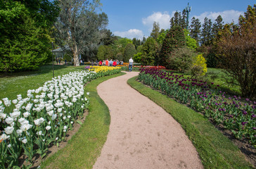 Beautiful various kinds of tulips in the botanical garden of Villa Taranto in Pallanza, Verbania, Italy.