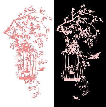 bird cage among sakura blossom - spring season blooming garden vector design