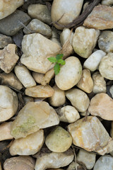 Rock/Stone Wallpaper