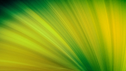 summer abstract background. juicy bright palette