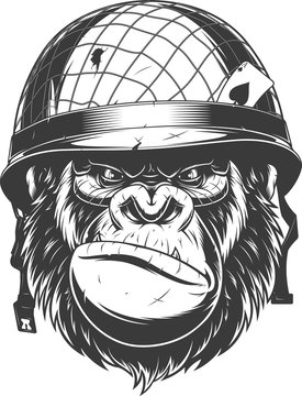 Gorilla in the military helmet.