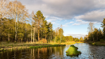 летний пейзаж с рекой и лесом, Россия, Урал, июнь © 7ynp100