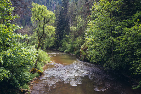 Hornad River seen from a path in famous national park called Slovak Paradise, Slovakia
