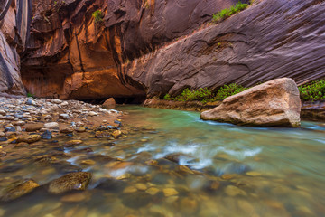 Rocks in the Virgin River Narrows in Zion National Park.