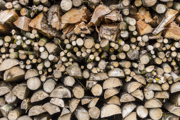 Unterschiedlich große von einem Baumstamm gesägte und gespaltenene Stücke Holz auf einem Stapel