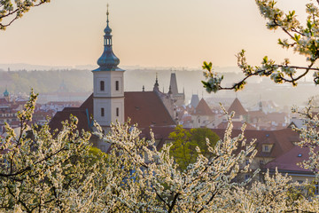 Naklejka premium Prague cityscape. A beautiful spring morning when the gardens blossom on Petrin hill in Prague, Czech Rupublic 