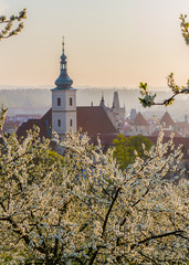 Naklejka premium Prague cityscape. A beautiful spring morning when the gardens blossom on Petrin hill in Prague, Czech Rupublic 