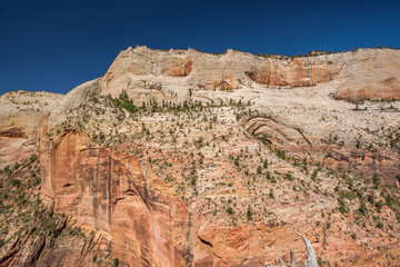 Landscape in Zion National Park