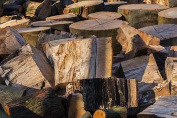 Von einem Baumstamm gesägte und teilweise gespaltenene Stücke Holz in der Abendsonne