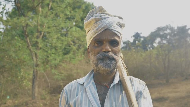 A middle aged farmer carrying a pickaxe or mattock on his shoulder after a hard day's work at his farmland. A male farmer standing in his agricultural land surrounded by trees carrying pickax or hoe