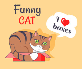 Funny Cat I Love Boxes Poster Vector Illustration