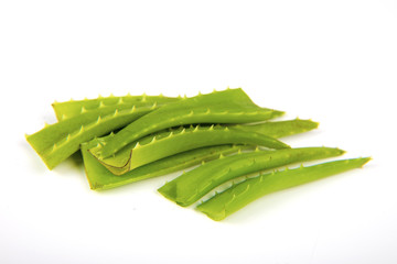 green leafs of aloe vera plant isolated on white