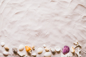 Summer beach with a lot of seashells, starfish and sand as background. Sea shells. Travel and summer concept.