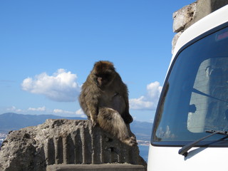 Gibraltar