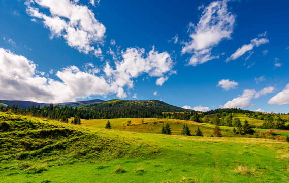 grassy meadows and forested hills. beautiful landscape with mountain ridge in the distance under the azure sky with gorgeous cloudscape