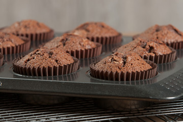 Home Baked Chocolate Cupcakes In A Baking Tray.