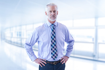 Fototapeta premium Senior businessman in his office