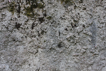 the surface of old concrete slab covered with moss