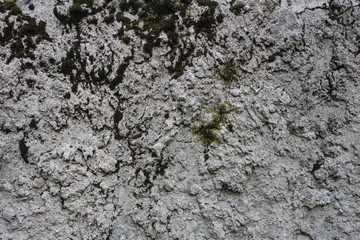 the surface of old concrete slab covered with moss