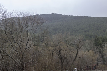 A Beautiful View from a Plain