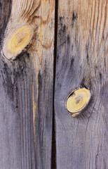 Wood Texture With Natural Pattern